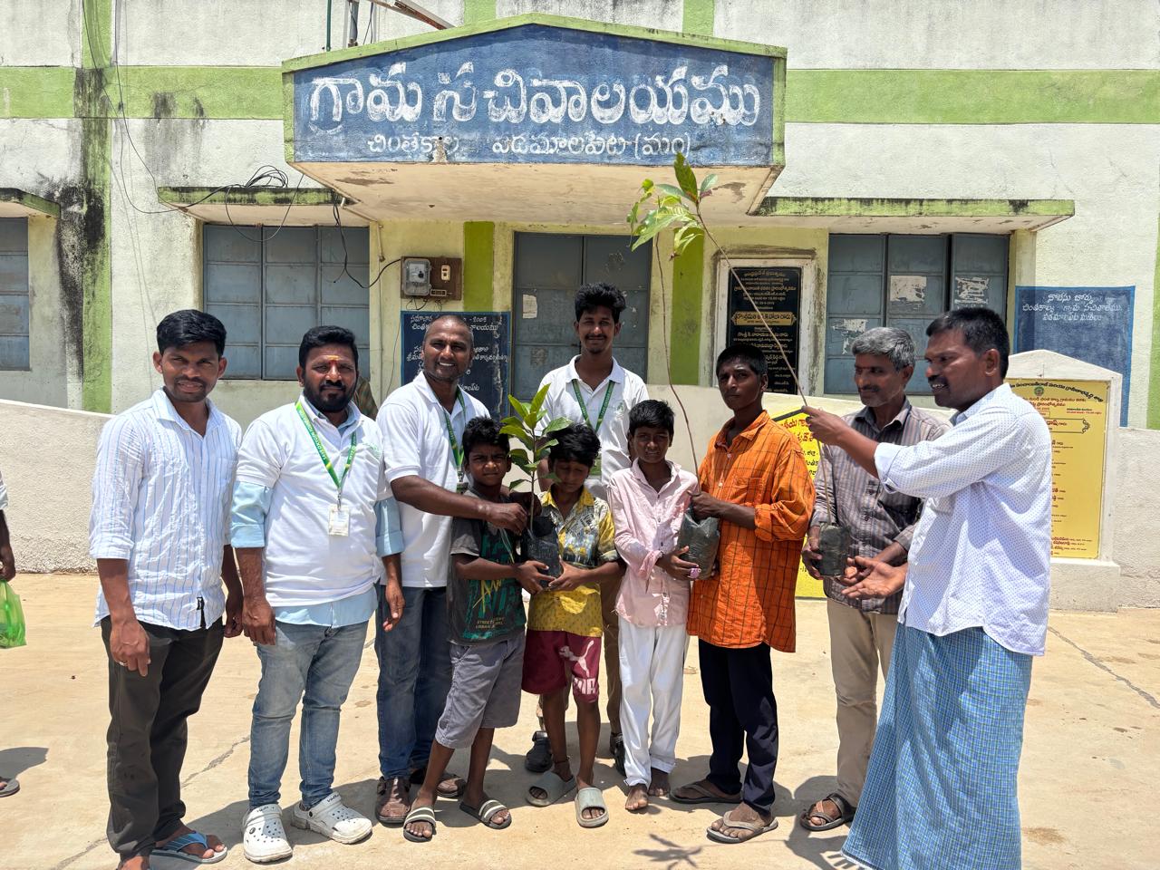 Tree Plantation