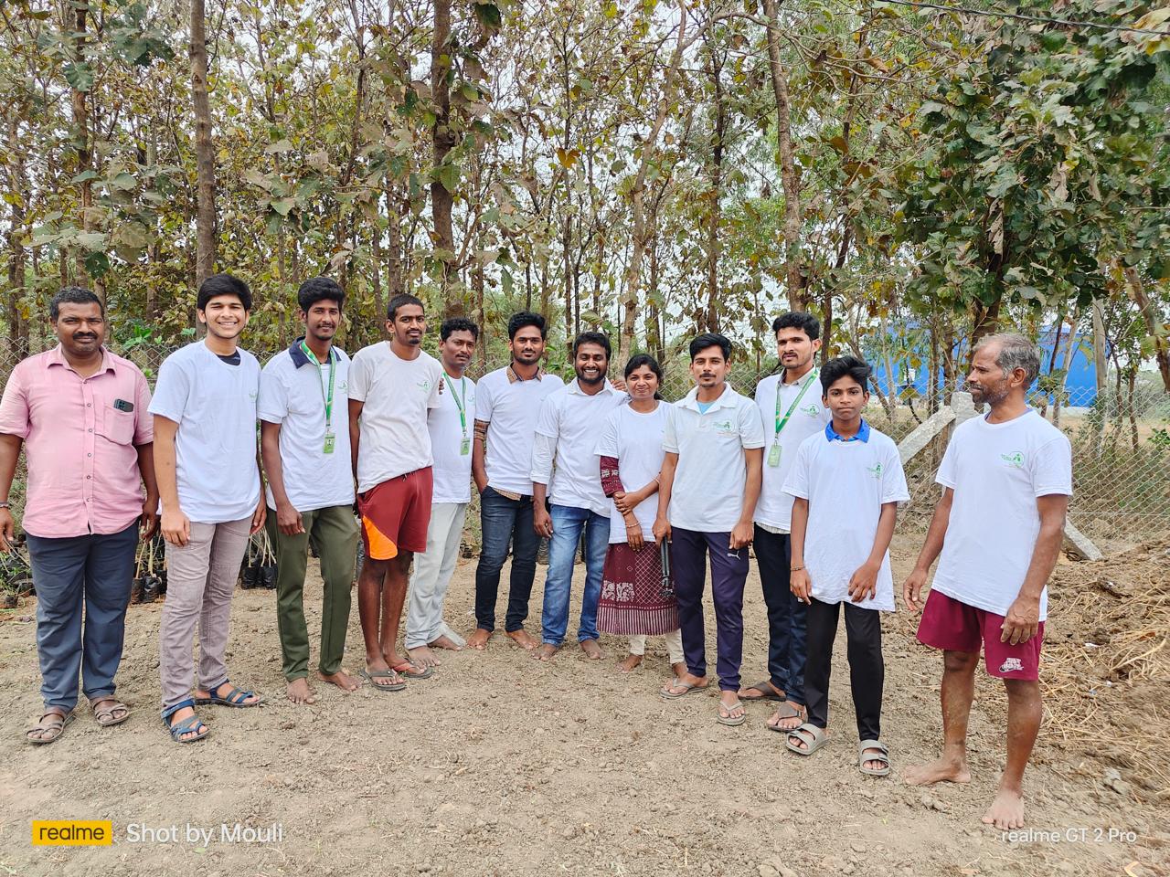Plant Distribution